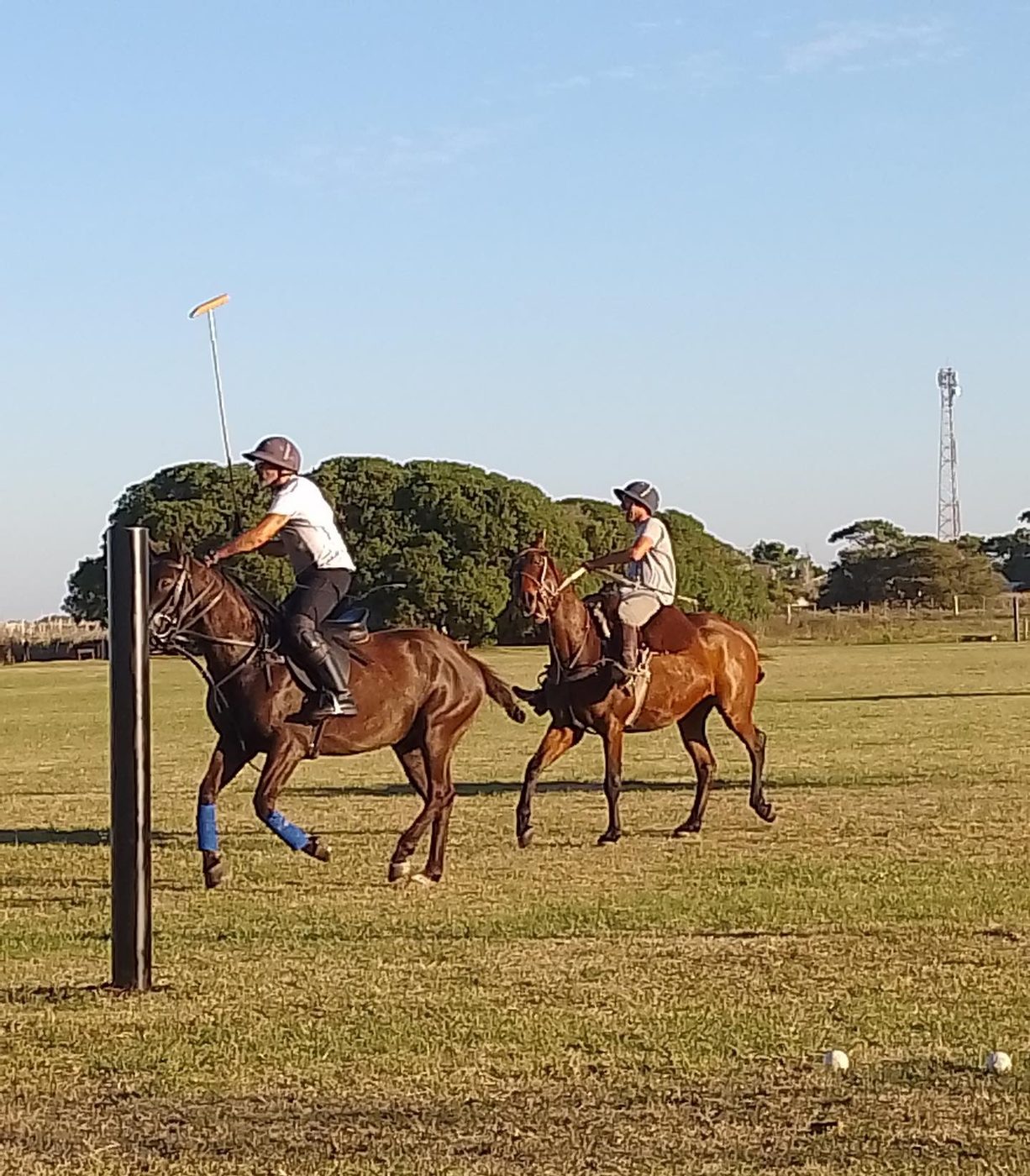 Polo en La Libertad